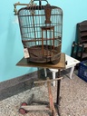 IMG_1623.jpeg
