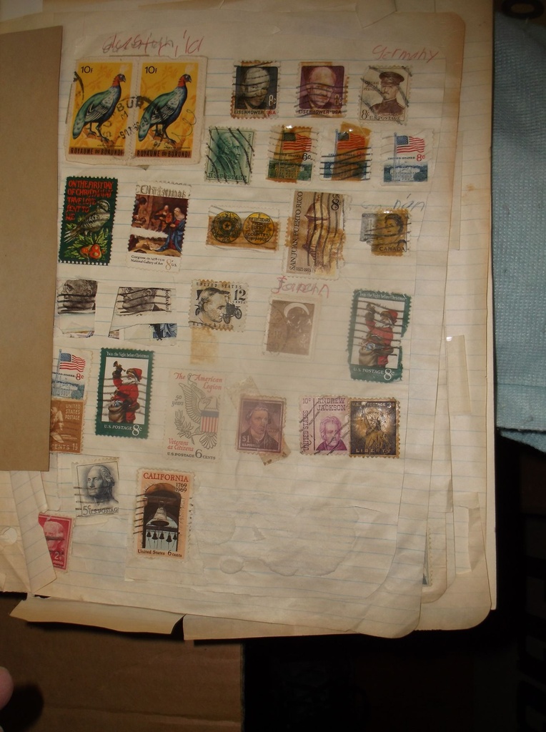 DSCF9159.JPG