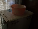 DSCF9223.JPG