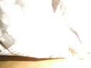 DSCF9220.JPG
