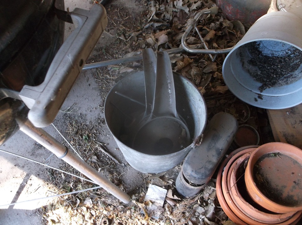 DSCF9257.JPG