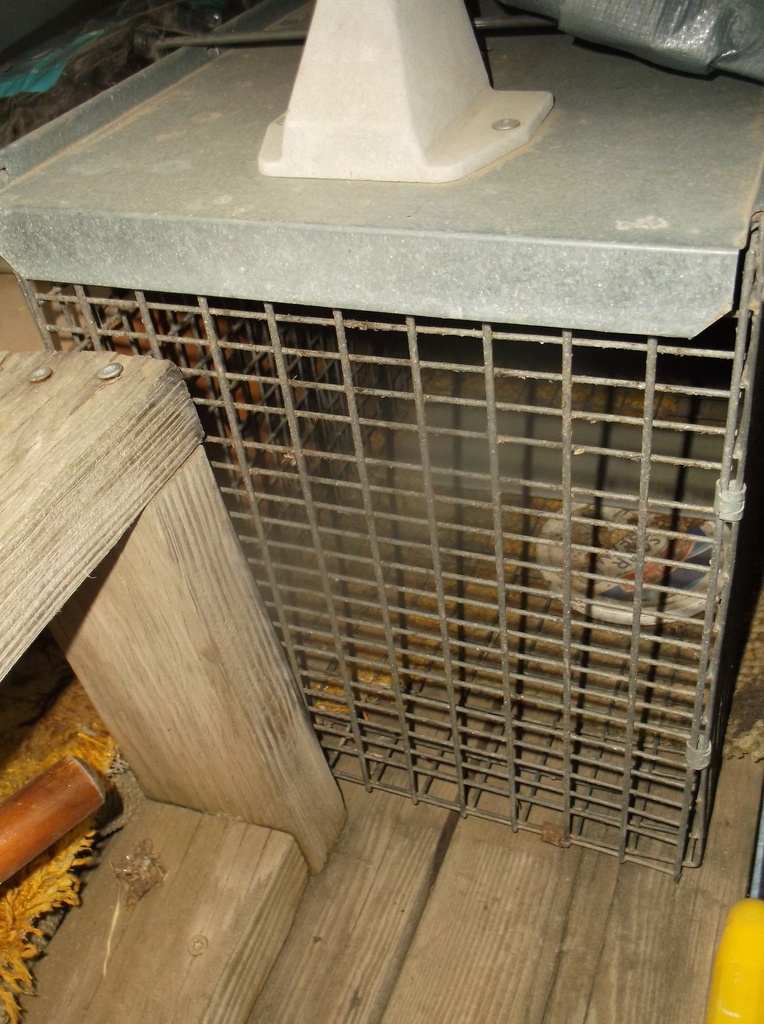 DSCF9286.JPG