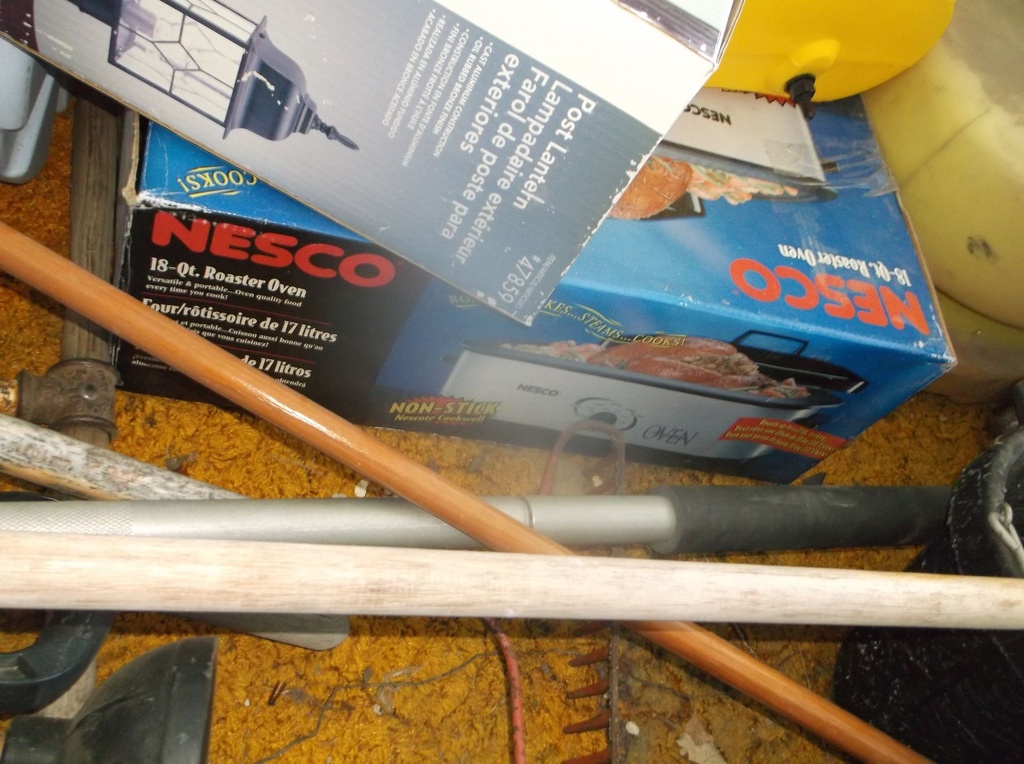 DSCF9282.JPG