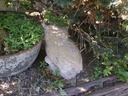 DSCF9277.JPG